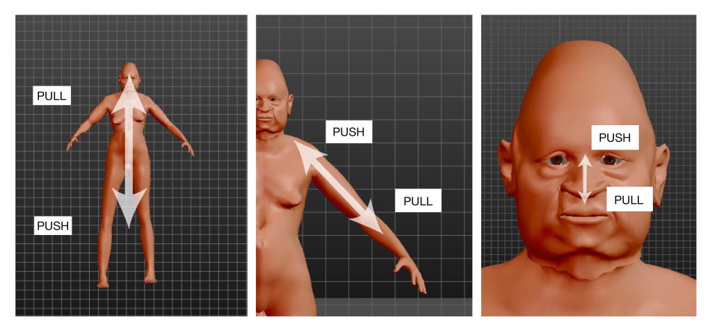 A human character with arrows on it to represent direct manipulations. 