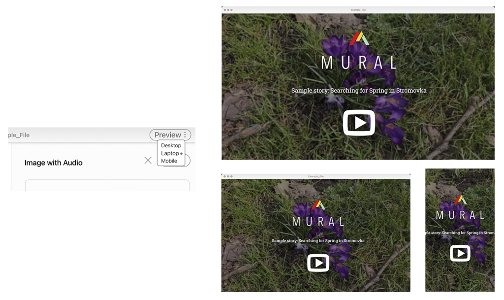 The dropdown for switching preview type for the user's story, along with the dimensions for each preview shown. 